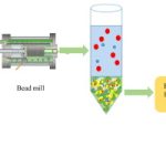 Bead Mill