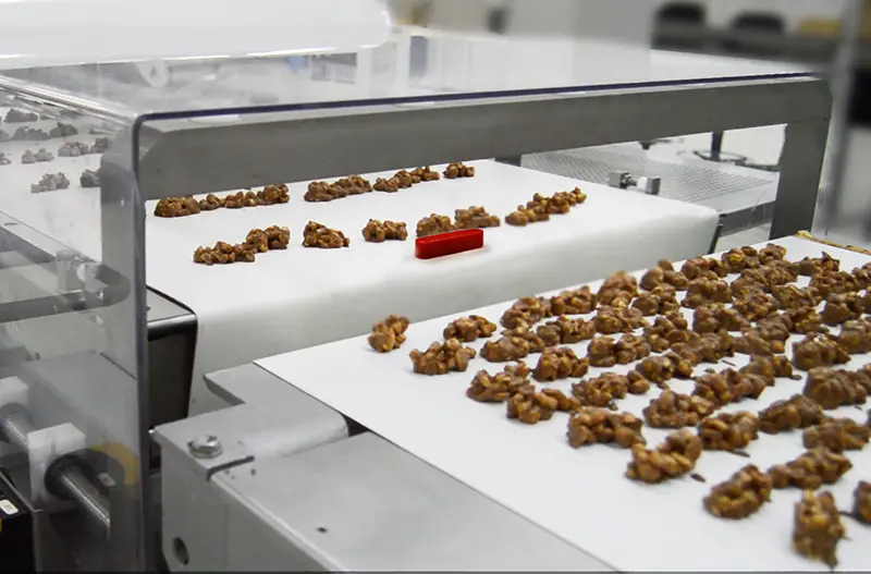 Food Metal Detector